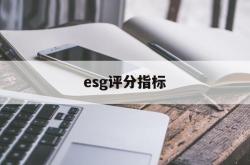 esg评分指标(ess评分是什么)