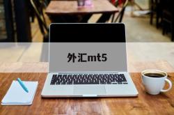 外汇mt5(外汇mt5官网下载)