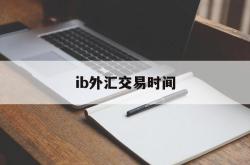 ib外汇交易时间(外汇ib业务合法吗)