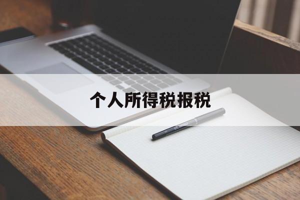 个人所得税报税(个人所得税报税app)