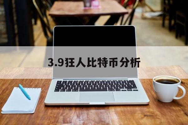 3.9狂人比特币分析(揭秘疯狂的比特币人民网)