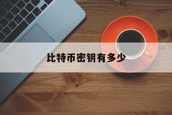 比特币密钥有多少(比特币密钥多少位字母数字)